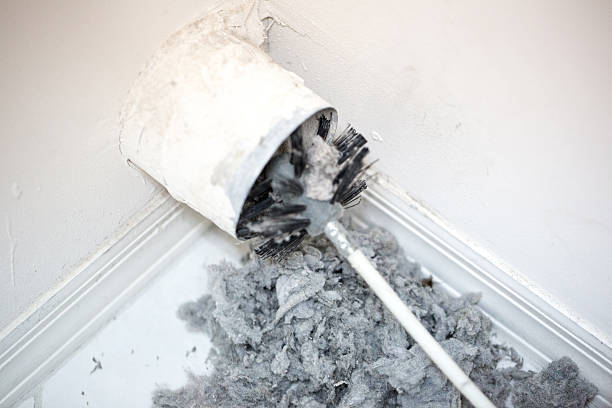 Best Affordable Air Duct Cleaning  in Tillmans Corner, AL